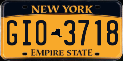 NY license plate GIO3718