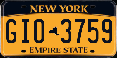 NY license plate GIO3759