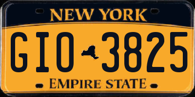 NY license plate GIO3825