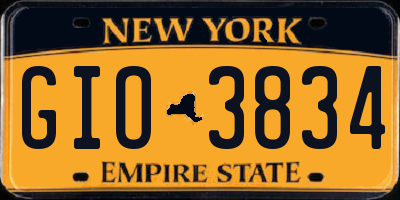 NY license plate GIO3834