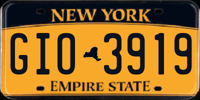 NY license plate GIO3919