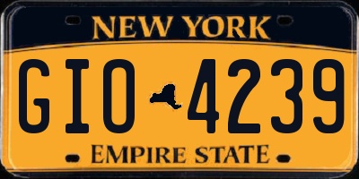 NY license plate GIO4239