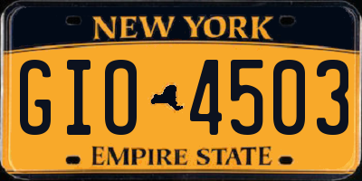 NY license plate GIO4503