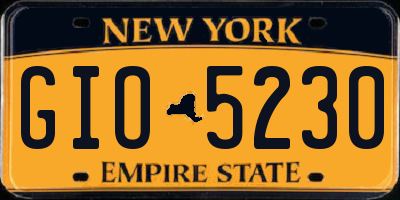 NY license plate GIO5230