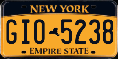 NY license plate GIO5238