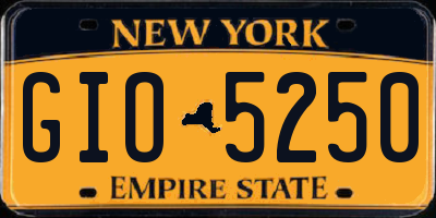 NY license plate GIO5250