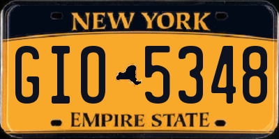 NY license plate GIO5348