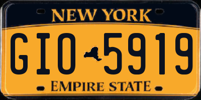 NY license plate GIO5919