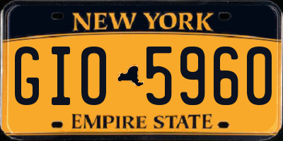 NY license plate GIO5960