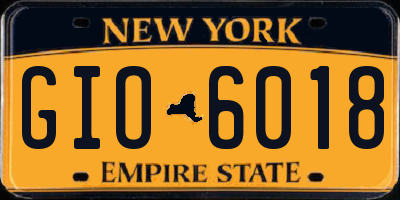NY license plate GIO6018