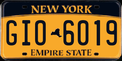 NY license plate GIO6019