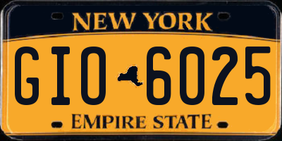 NY license plate GIO6025