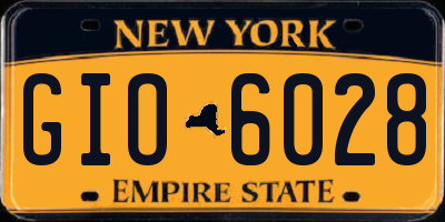 NY license plate GIO6028