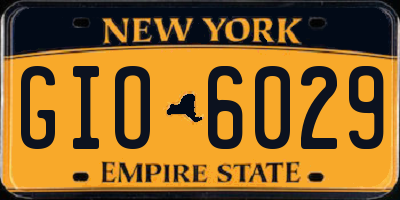 NY license plate GIO6029