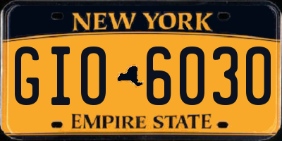 NY license plate GIO6030