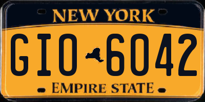 NY license plate GIO6042