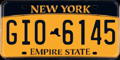 NY license plate GIO6145