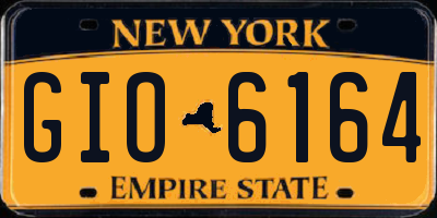 NY license plate GIO6164