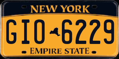 NY license plate GIO6229