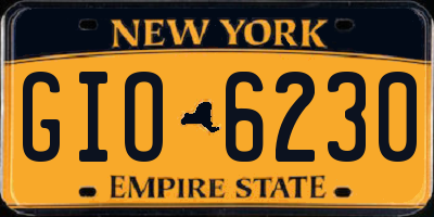 NY license plate GIO6230