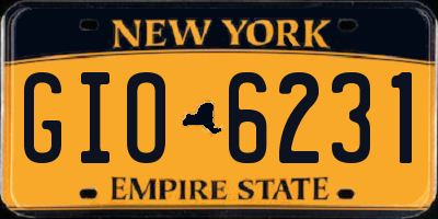 NY license plate GIO6231