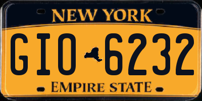 NY license plate GIO6232