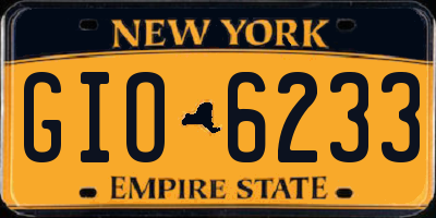NY license plate GIO6233
