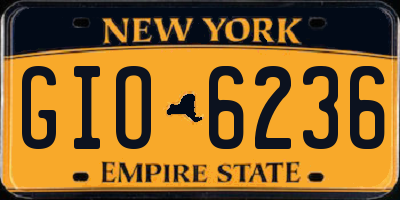 NY license plate GIO6236