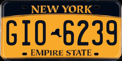 NY license plate GIO6239