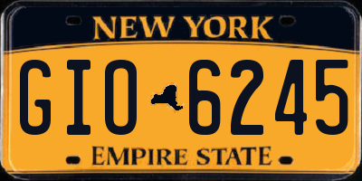 NY license plate GIO6245