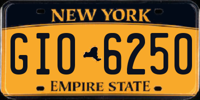 NY license plate GIO6250
