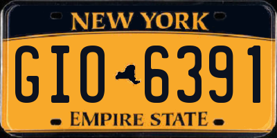 NY license plate GIO6391