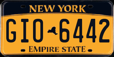 NY license plate GIO6442