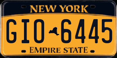NY license plate GIO6445