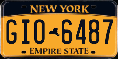NY license plate GIO6487