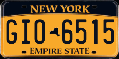 NY license plate GIO6515