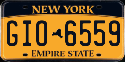 NY license plate GIO6559