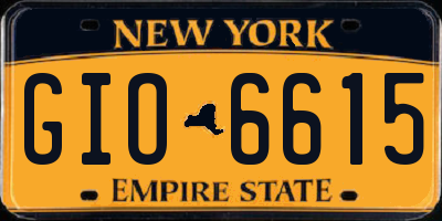 NY license plate GIO6615
