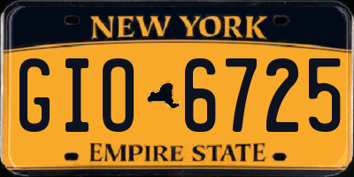 NY license plate GIO6725