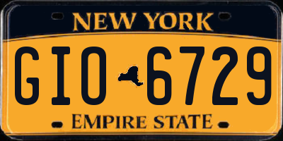 NY license plate GIO6729