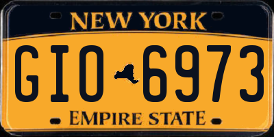 NY license plate GIO6973