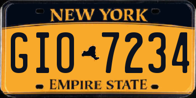 NY license plate GIO7234