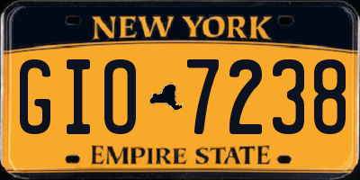NY license plate GIO7238