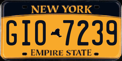NY license plate GIO7239