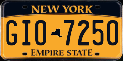 NY license plate GIO7250