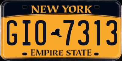 NY license plate GIO7313