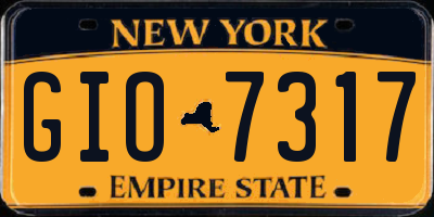 NY license plate GIO7317