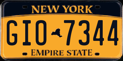 NY license plate GIO7344