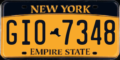 NY license plate GIO7348