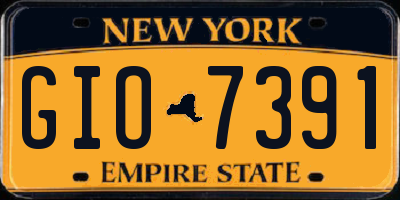 NY license plate GIO7391